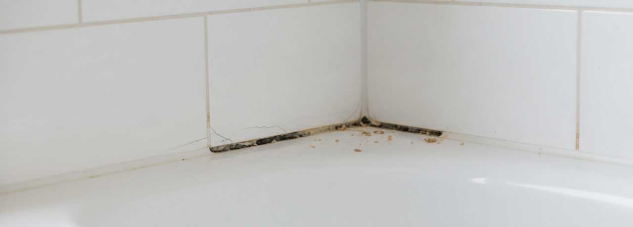Tegelzetter Hoe herken je wanneer kitnaden in je badkamer vervangen moeten worden?